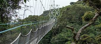 10 Day Explore Rwanda Safari