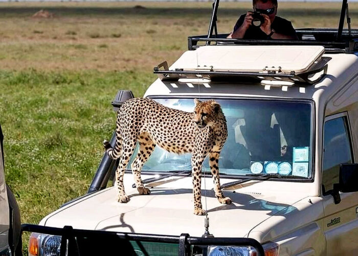 3-day-masai-mara-safari