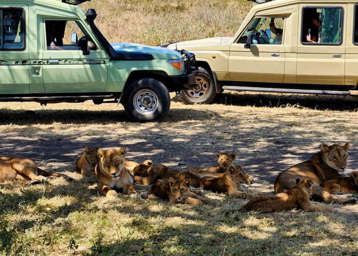 3-day-serengeti-national-park