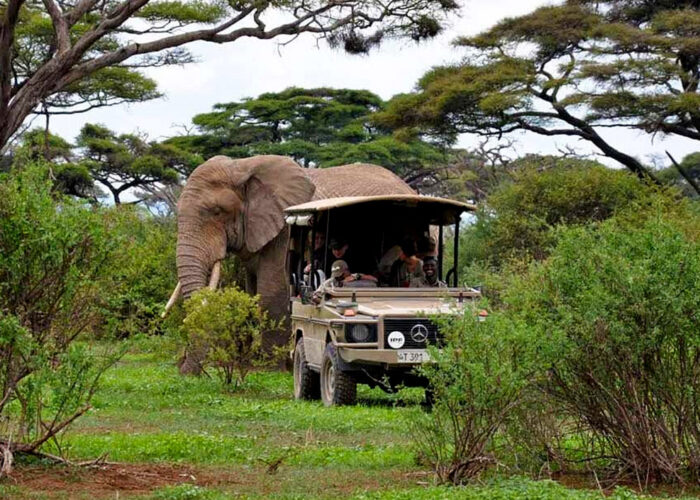 3-day-tarangire-wildlife-safari