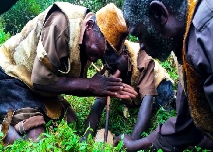 16-days-explore-uganda-safari-tours