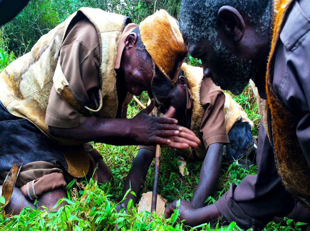 16-days-explore-uganda-safari-tours 16-days-explore-uganda-safari-tours