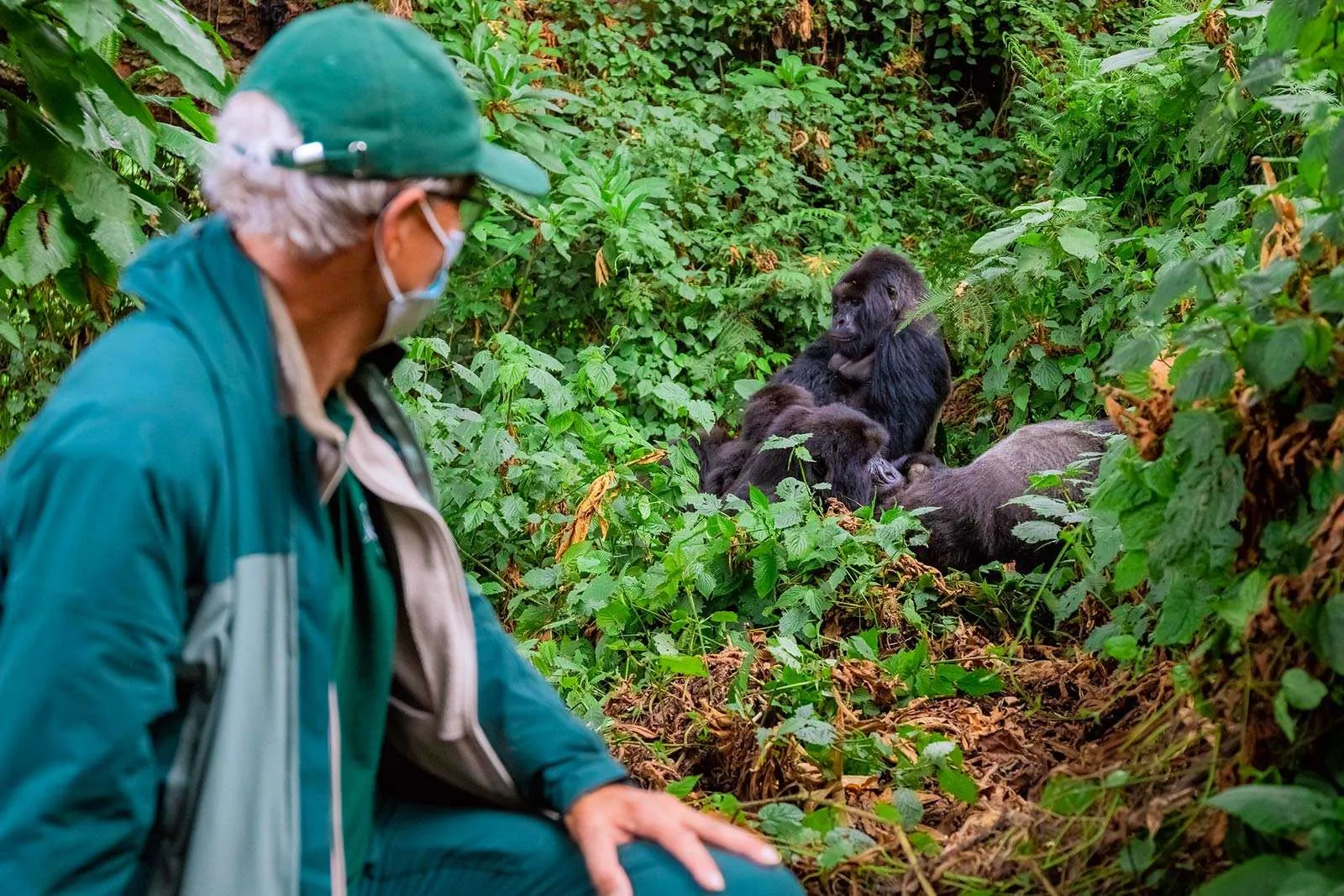 3 Day Bwindi Gorilla Trekking Safari - Magic African Safaris