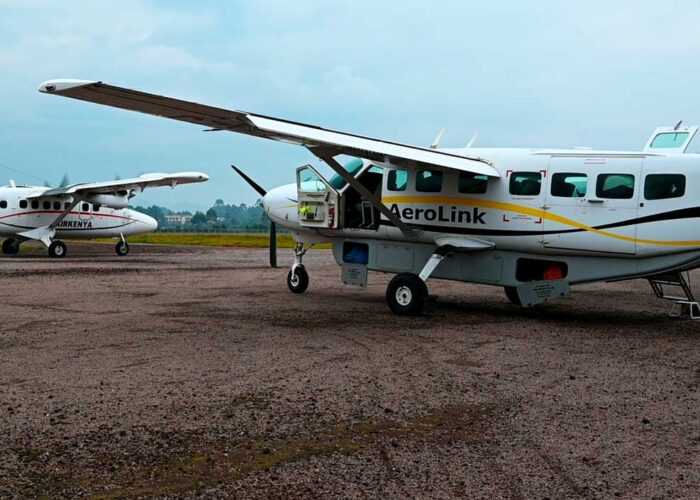6-days-fly-in-safari-to-kibale-queen-elizabeth-bwindi