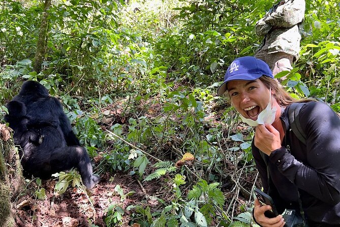 10 Days Best of Uganda Gorilla Wildlife Safari – Magic African Safaris 10 Days Best of Uganda Gorilla Wildlife Safari